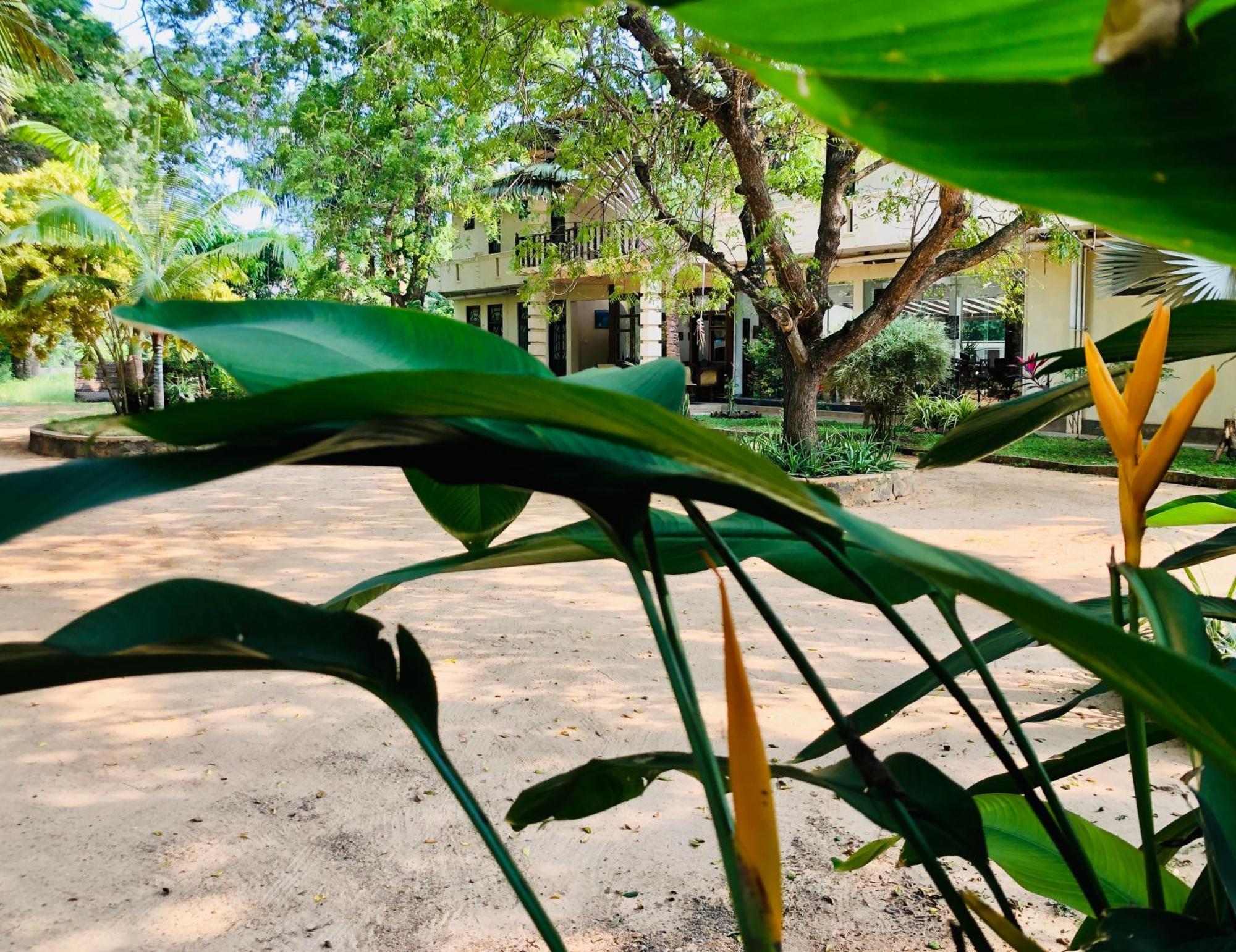 Saman Resort Yala Tissamaharama Eksteriør billede